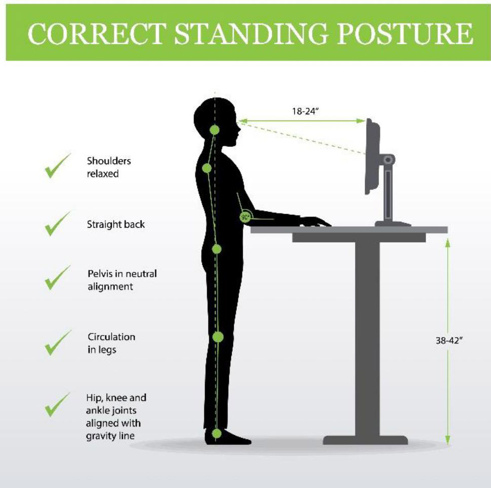 The truth behind standing desks - Harvard Health