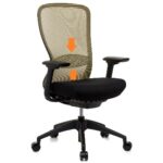 A picture containing furniture, seat, chair Description automatically generated